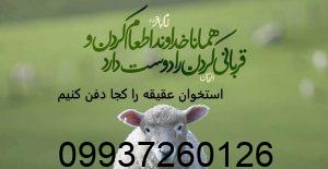استخوان عقیقه را کجا دفن کنیم