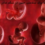 دعا برای سلامتی جنین در شکم مادر