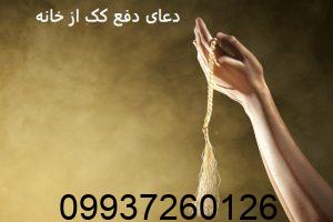 دعای دفع کک از خانه