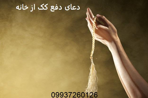 دعای دفع کک از خانه